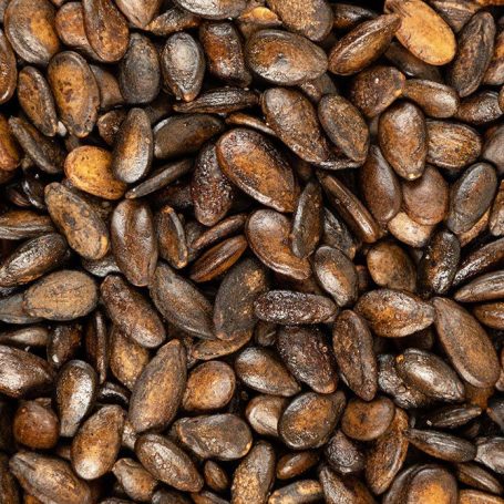 Heerlijke watermeloenpitten!